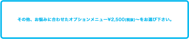 その他、お悩みに合わせたオプションメニュー￥2,625～をお選び下さい。